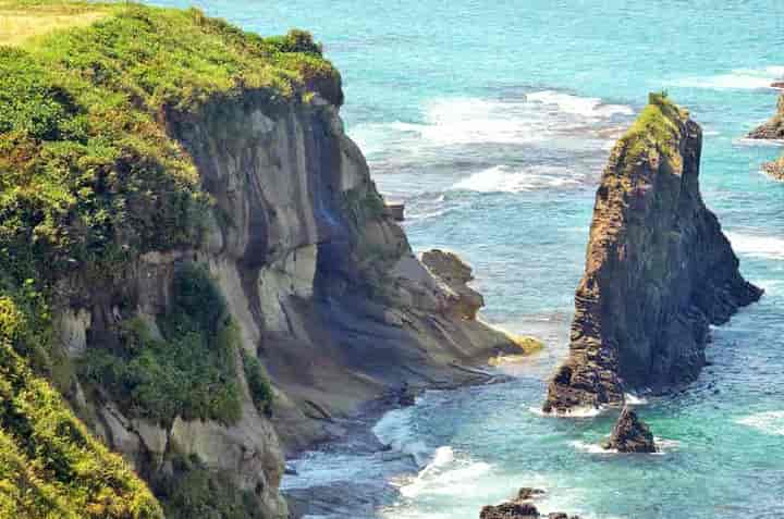 ������̑�E���R�Ɍ�����